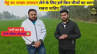 गेहूं की खेती में कभी नहीं होगा घाटा, बस अपनाएं ये तरीके | gehu ki kheti