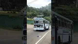 ලස්සනම නගරයක් 😍❤️|Ruwan Express| #bus #automobile #srilanka