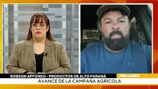Preocupa aparición de plagas antes del inicio de la cosecha de soja