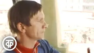 Трактор 