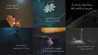Jahaan Ehsas Ki Qadar Na Ho Wahaan Alfaz Bhi Kaam Nhi Aaya Karte | Life Changing quotes |