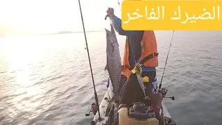 صيد الضيرك الفاخر