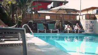 The Dixie Hollywood Hotel