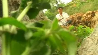 Tamang song- hangshu faila