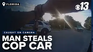 Dramatic police dash and body cam video shows a wild chase after man steals patrol car