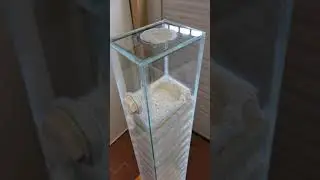 Vorstellung von einem Lauf- bzw. Futterturm für Ameisen