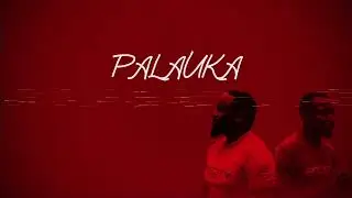 Mag44 & Dmstry - Palauka Ft Ray Shine, S.O.G Zambia & Destro FNP (Official Lyric Video)