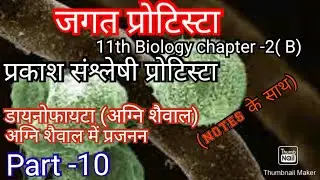 अग्नि शैवाल।।डायनोफायटा।।Dinophyta, प्रकाश संश्लेषी प्रोटिस्टा।।photosynthetic  protista agni saiwal