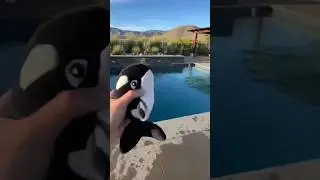 The orca whale doll becomes real #shorts