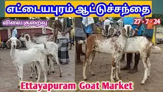 27 - 7 - 2024 | எட்டையபுரம் ஆட்டுச்சந்தை | Ettayapuram Goat Market | @kalnadaitholan | goat market