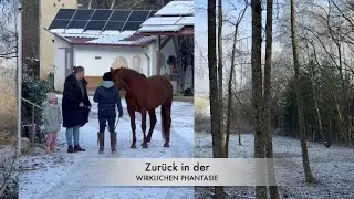 chill back to real phantasy - horses