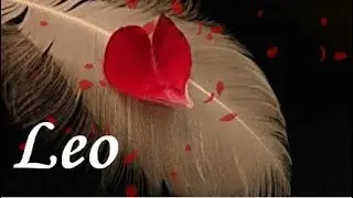 LEO LOVE JANUARY 2026 