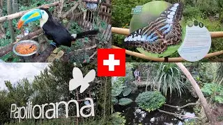 Papiliorama - Swiss Butterfly Garden and more