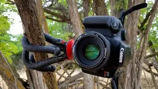 Fotopro uFO2 Tripod Review + Field Test!