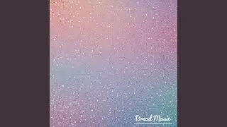 Under the Gaze of a Thousand Stars