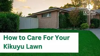 How to Care for Your Kikuyu Lawn | Lawn Care Made Easy