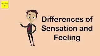 Differences of Sensation and Feeling