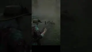 I killed Legendary Sun Gator with knife in Red Dead Online