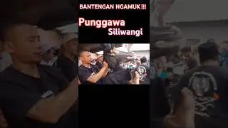 bantengan ngamuk punggawa Siliwangi live treceh #atraksibantengan #bantengpacet #bantengan #shorts