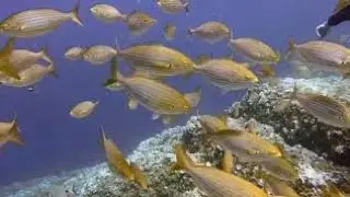 #Naturekpop#natureplace                                     4K Video (Ultra HD) Unbelievable Beauty