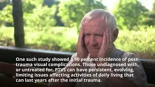Post Traumatic Vision Syndrome PTVS after an acquired or traumatic head injury | A-Ha Vision
