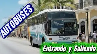 AUTOBUSES que rolan por YUCATÁN 