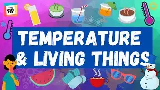 HOW DOES TEMPERATURE AFFECT HUMAN BEINGS AND ANIMALS? | SCIENCE | The Study Pod