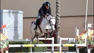 🥇Kaprika Doral 6/YO - CSIYH1* Moura Tours 