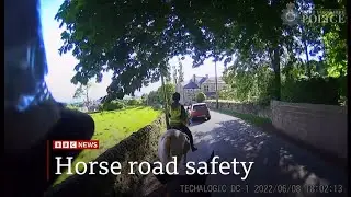 Motorists urged to 'slow down' after horse deaths (UK) 12/May/2025