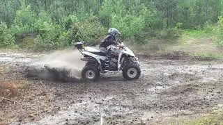 Suzuki Ltz 250