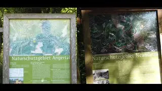 🚲 🇩🇪  RadTour  🇳🇱 🚲   ☀️ durch die Naturschutzgebiete Neandertal und Angertal ☀️