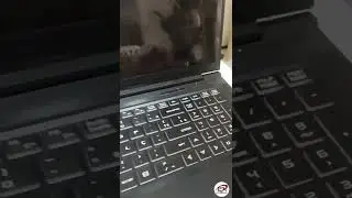 Troca de Kit tela notebook avell C62 liv