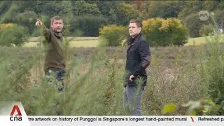 В Дании реализуются планы по лесовосстановлению на фоне усилий ЕС по достижению климатических целей