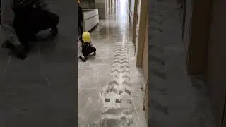 marbel buffing work #highrisebuilding #interiordesign #qualityflooring #marble #buffingmachine