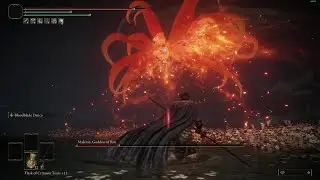 Malenia [No Ash of War, No Buffs] [Bloom aura Hit]