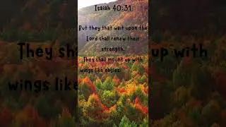 Soar Like Eagles- Strength Renewed in Lord! #god #jesus #believe #strength #love #faith #viral