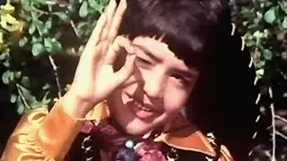 Aao Milke Saathi Banke Khelen - Master Alankar Joshi | Sushma Shreshtha | Janwar Aur Insaan Song