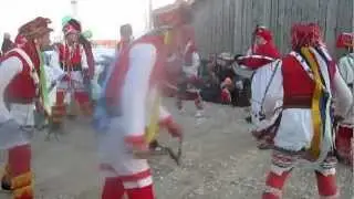Calut purtator Cozmiuc Cezar 2012