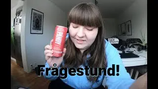 Q&A - Planer för sommaren, hundar osv.