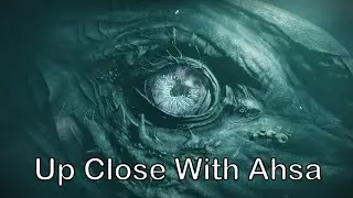 Destiny 2 OOB: Deep Diving with Ahsa