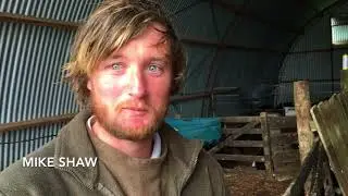 Rotavirus Management with CalfBrew