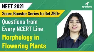 Morphology in Flowering Plants | Important Questions from Every NCERT Line | NEET 2021 Tips |Bioguru
