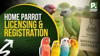 Home Parrot Licensing and Registration Made Mandatory | Lahore | Shahid Hanif | Pakistan Connect
