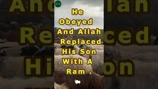 The Real Meaning of Qurbani (Not Just Meat) | Islamic Info Daily | #qurbani #qurbani2025 #shorts