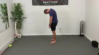 Standing Spine Segmentation CARs