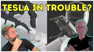 Tesla in Trouble? WIRobotics & Dexcel Robotics Break Through in the Hands Race