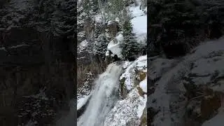 Rustic Falls #yellowstonenationalpark #waterfallwednesday  #travel #youtubeshorts #nature