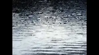 Dolphin's smiles...cries