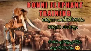 ELEPHANT Cage Konni|Konni surendran|kochayyappan|Krishna| ആന കൂട് കോന്നി|Elephant training