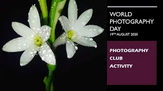 WORLD PHOTOGRAPHY DAY(19th AUGUST 2020) || RIS PHOTOGRAPHY CLUB ACTIVITY